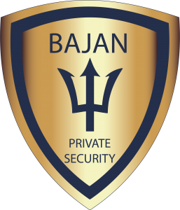 Bajan Security Final LogoVTI